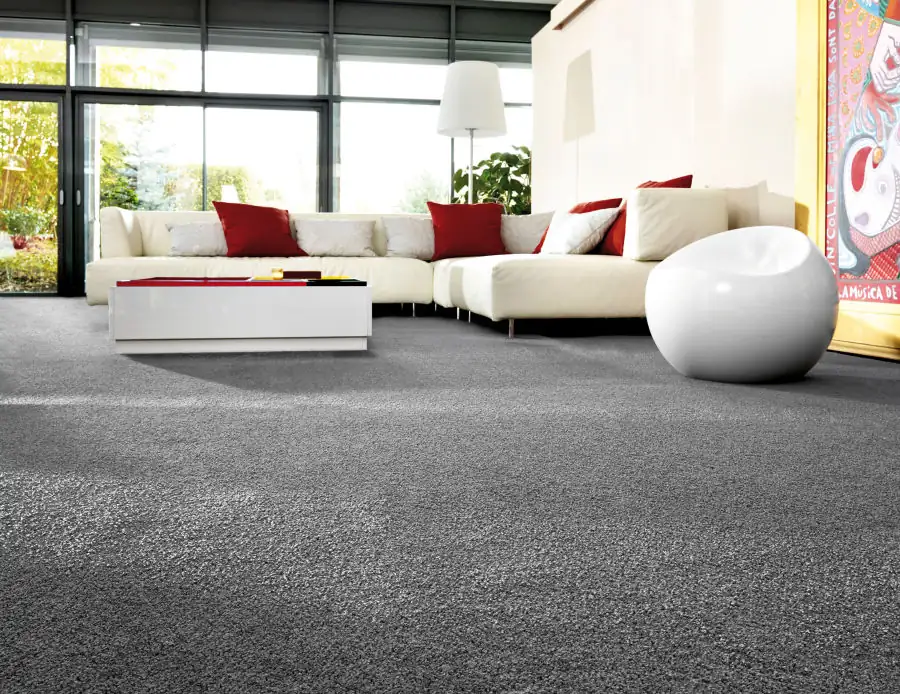 Designer Premium Carpet