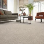 Light-beige-wall-to-wall-carpet-in-modern-living-room-1.webp