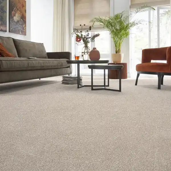 Light-beige-wall-to-wall-carpet-in-modern-living-room-1.webp