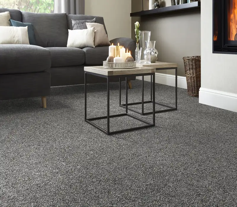 Premium Carpet Solutions