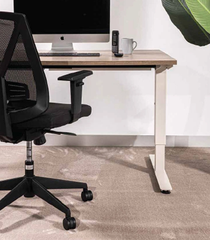 Queensbay Office Carpet Roll