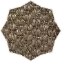 Sisal Carpet-1