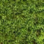 TekGrass-60S-1_700x800